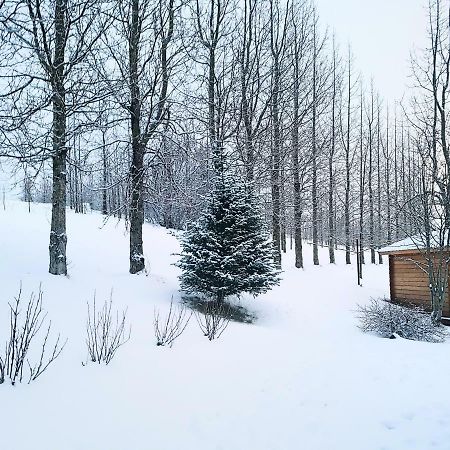 Laekjarbakki 11 Apartment Varmahlid  Luaran gambar